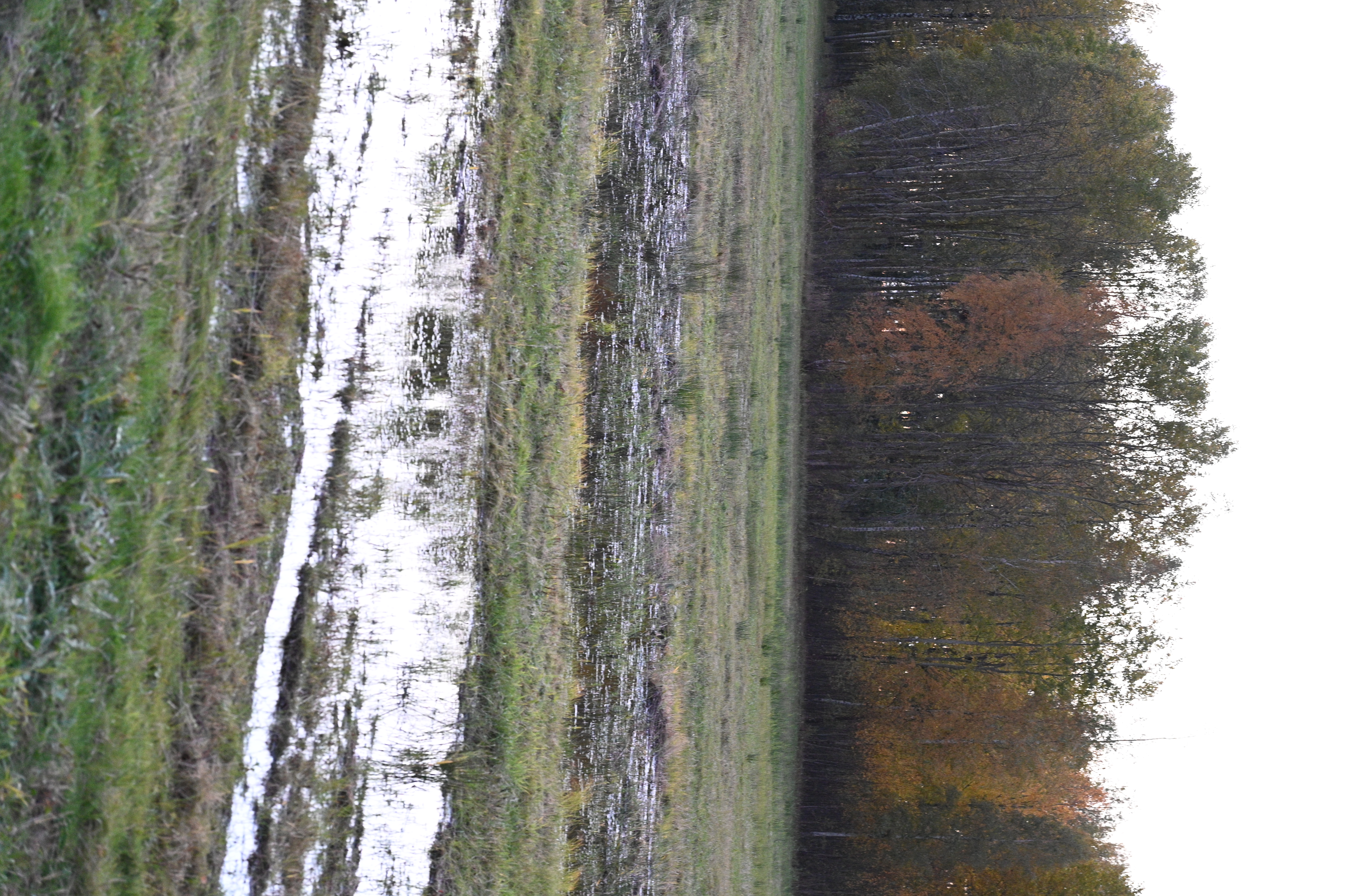 2025/10/18 - walk/DSC_0583.JPG